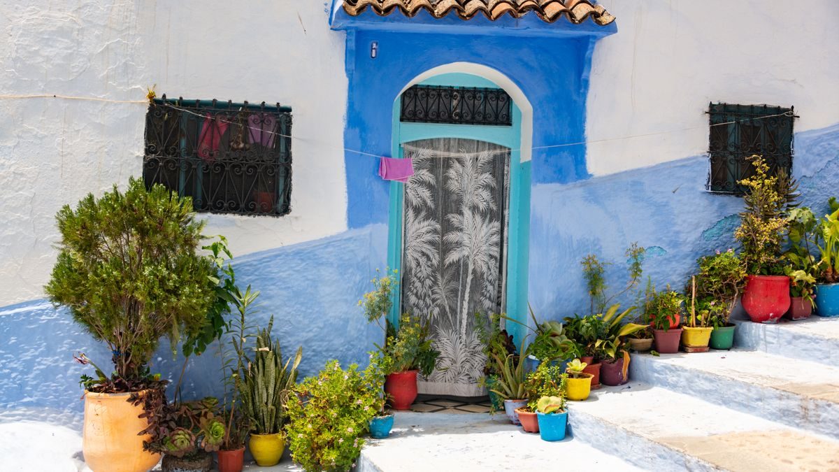 Porta blu circondata da vasi di piante in un vicolo della medina