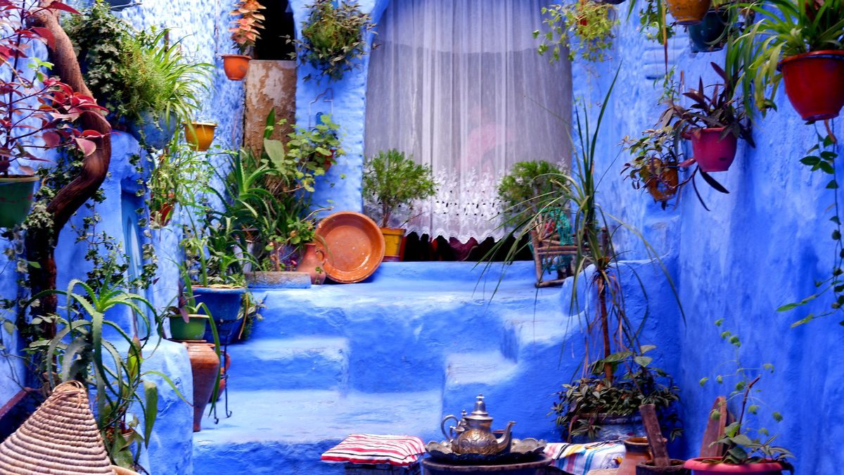 Scalinata blu decorata con piante e vasi in un vicolo di Chefchaouen